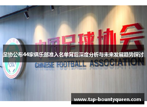 足协公布44家俱乐部准入名单背后深度分析与未来发展趋势探讨