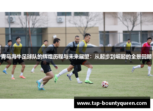青岛海牛足球队的辉煌历程与未来展望：从起步到崛起的全景回顾